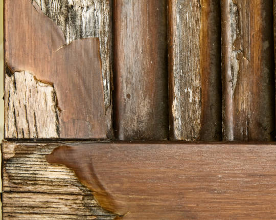 Eurolegno mezzana Bigli