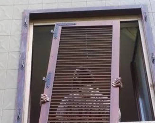 Eurolegno Mezzana Bigli